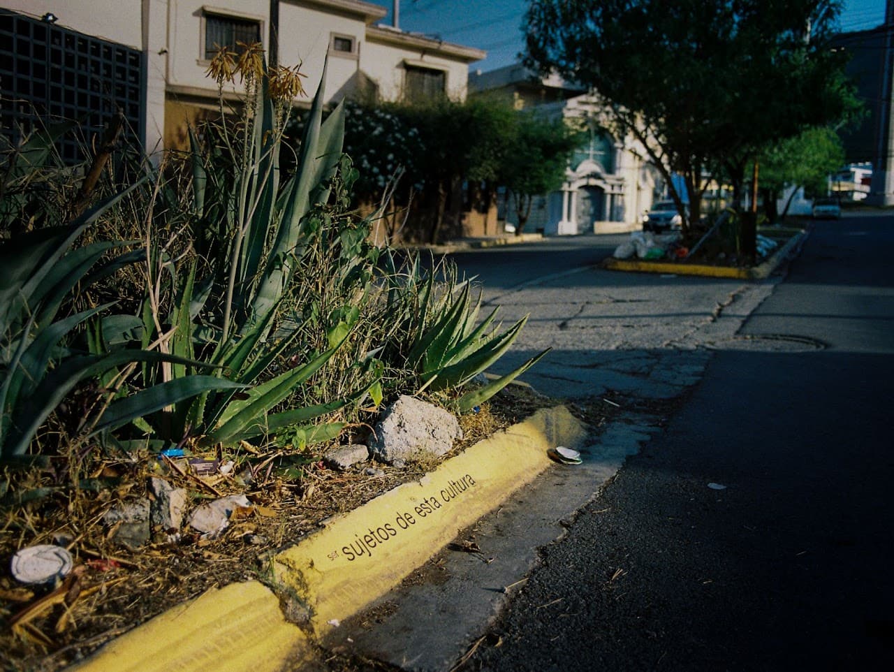 Amanda Soto — Tran(citando) 2