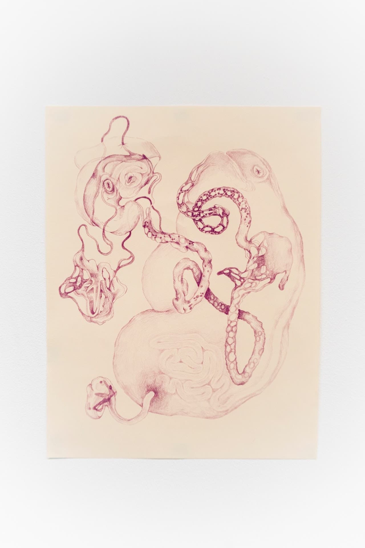 María Eugenia González 1