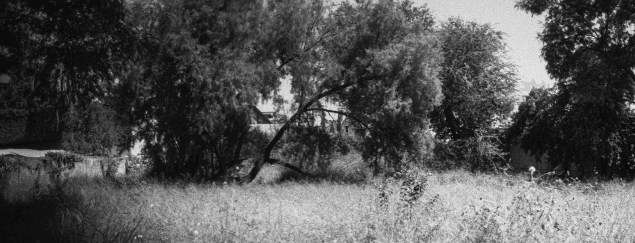 Hay mucho más después de la banqueta y el asfalto