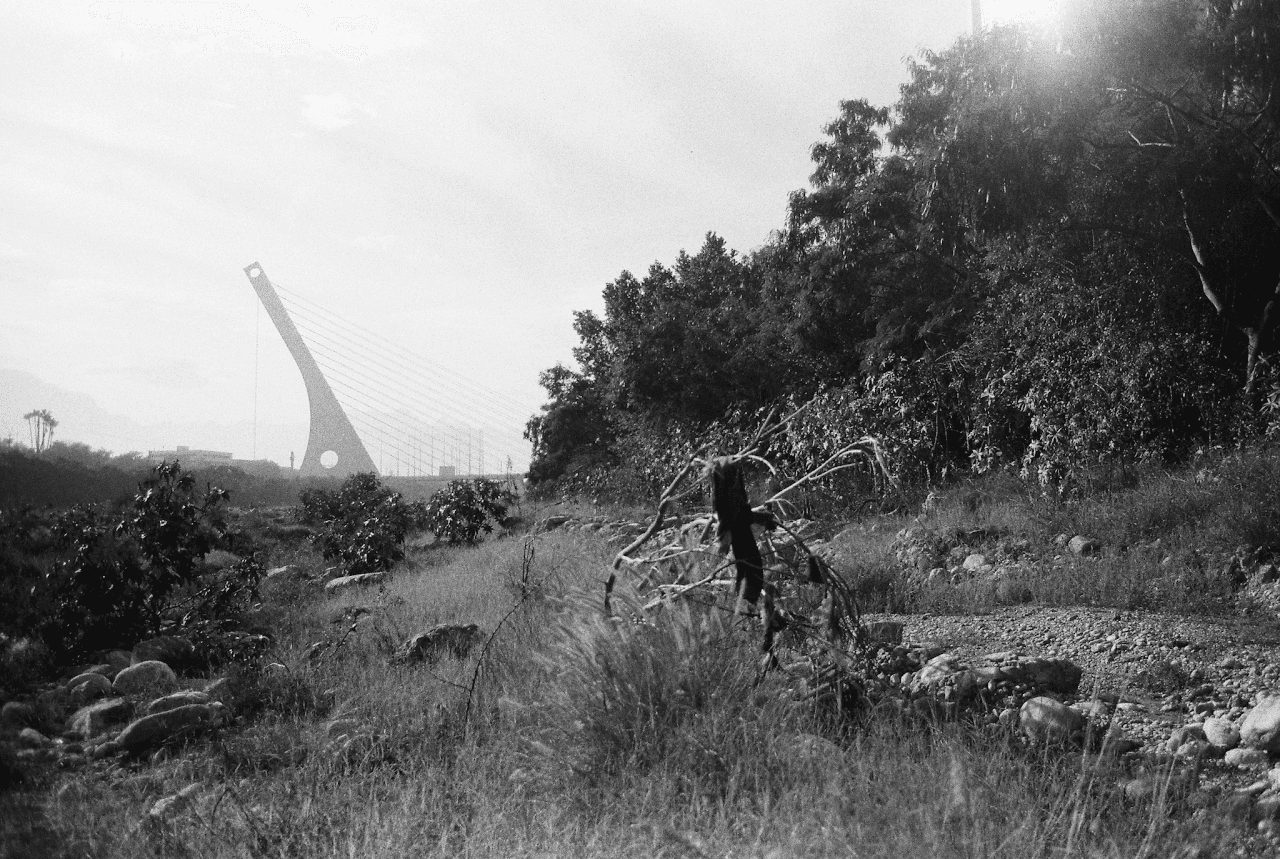 Sobrevivió el puente atirantado