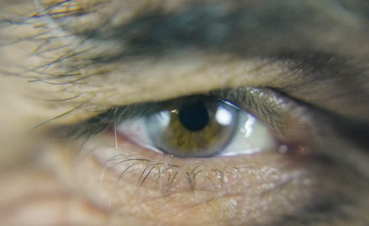 Retratos que Develan