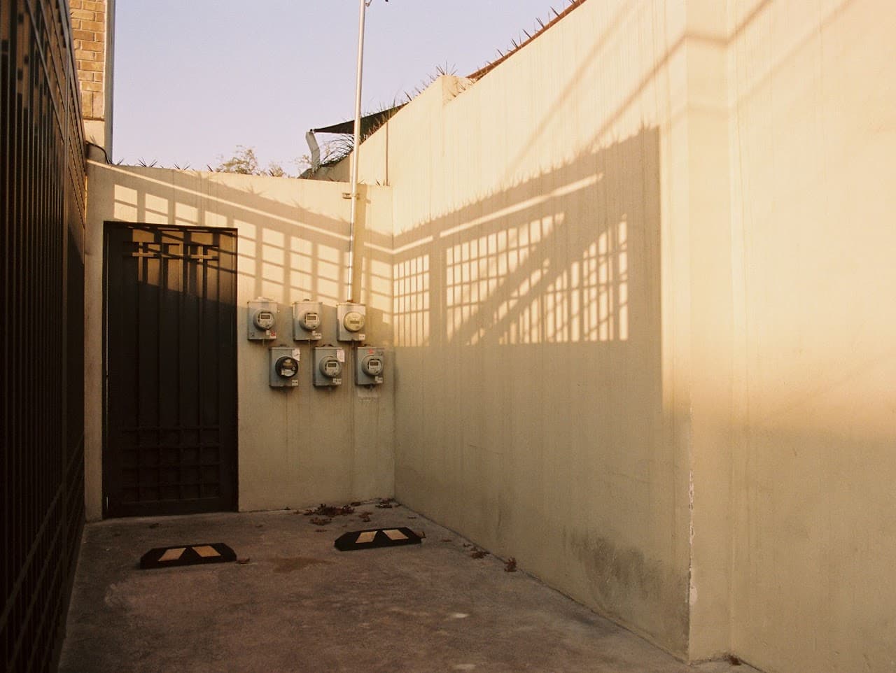 Crecimiento vespertino 1