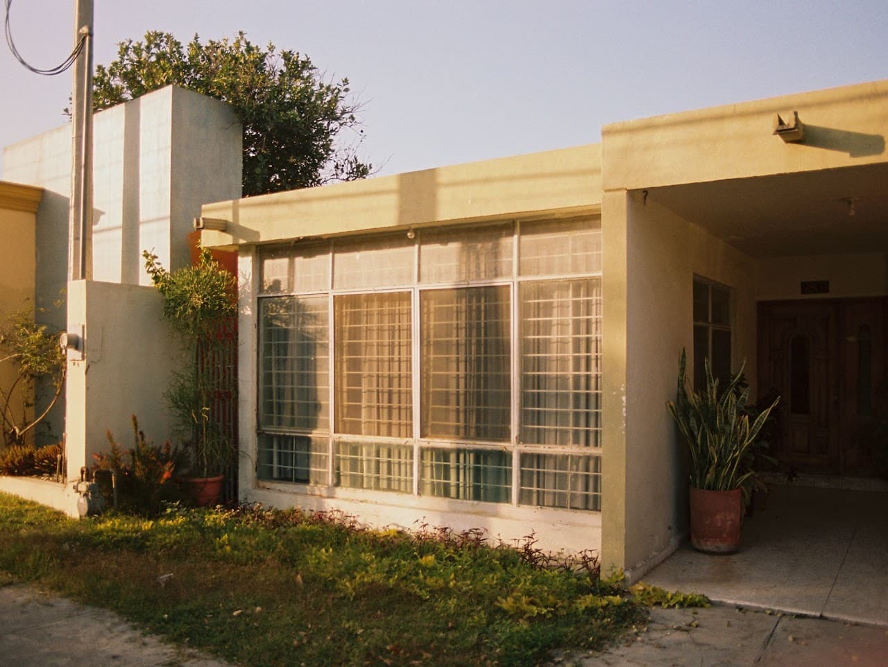 Crecimiento vespertino 2