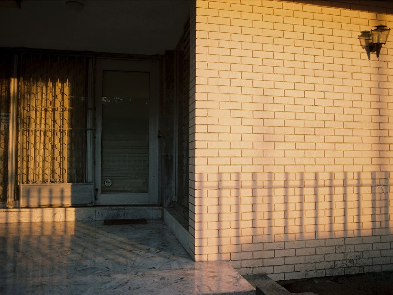 Crecimiento vespertino 3